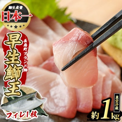 テレビで紹介ぶりの王様 「鰤王」 新物 鰤王 フィレ 約1kg 【JFA】_jfa-1481