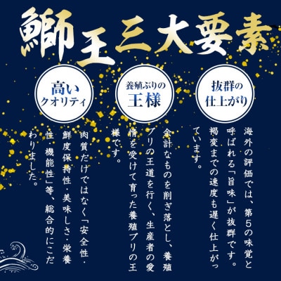 テレビで紹介ぶりの王様 「鰤王」 新物 鰤王 フィレ 約1kg 【JFA】_jfa-1481