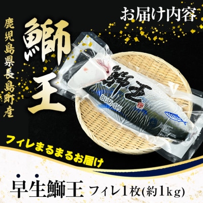 テレビで紹介ぶりの王様 「鰤王」 新物 鰤王 フィレ 約1kg 【JFA】_jfa-1481