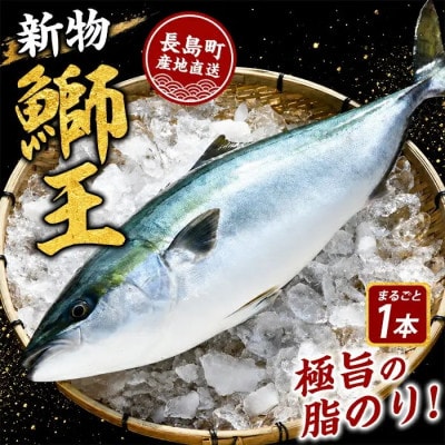 【新物】鰤王ラウンド(約3.0㎏)_jfa-7114R8