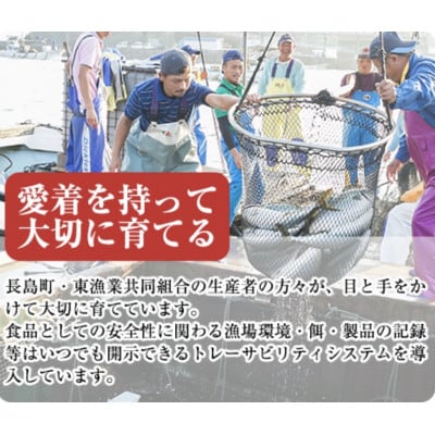 早生鰤王スキンレスロイン　約1.0kg-R