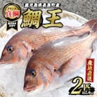 長島町特産「鯛王」(2匹・約2.4kg) 長島町 特産品 ブランド 真鯛【JFA】jfa-22