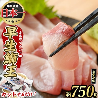 テレビで紹介ぶりの王様 「鰤王」 新物 鰤王 ロイン 2節 約750g 【JFA】_jfa-1482