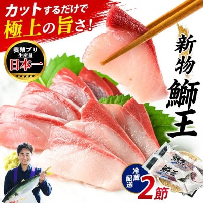 【新物】鰤王スキンレスロイン2節_jfa-7128R8