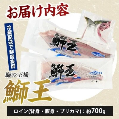【新物】鰤王スキンレスロイン2節_jfa-7128R8