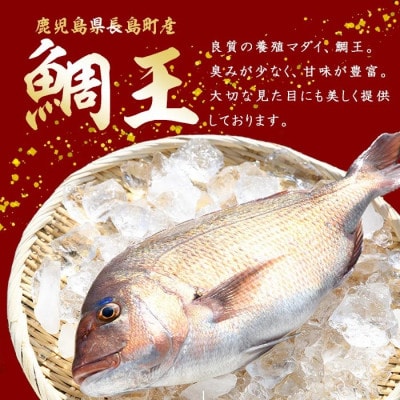 長島町特産 「鯛王」 スキンレスロイン 8節入り 約1.0kg 【JFA】 jfa-1358 R7