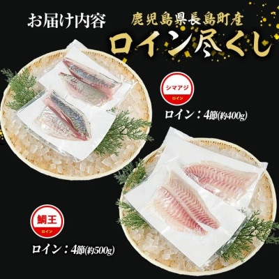 お刺身用 ロイン 2種 詰め合わせ 約900g 鯛王 シマアジ 【JFA】jfa-1499