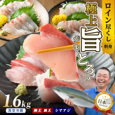 お刺身用 ロイン 3種 詰め合わせ 約1.6kg 鰤王 鯛王 シマアジ  【JFA】jfa-1497