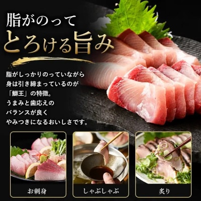鰤王のフィレ(1枚)_jfa-7006R8