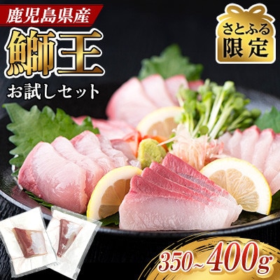 【さとふる限定】まずは一口!! 鰤の王様 「鰤王」お試しセット 約350～400g【JFA】