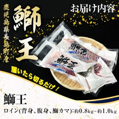 テレビで紹介ぶりの王様! 「鰤王」ロイン 2節 【JFA】jfa-1484