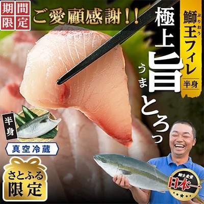 【さとふる限定】【ご愛顧感謝!期間限定】ぶりの王様「 鰤王 」フィレ jfa-1483-C