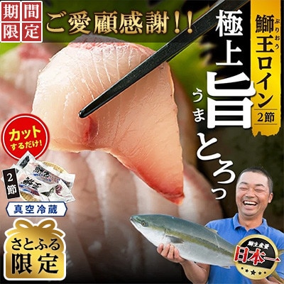 【さとふる限定】【ご愛顧感謝!期間限定】ぶりの王様「 鰤王 」ロイン jfa-1484-C