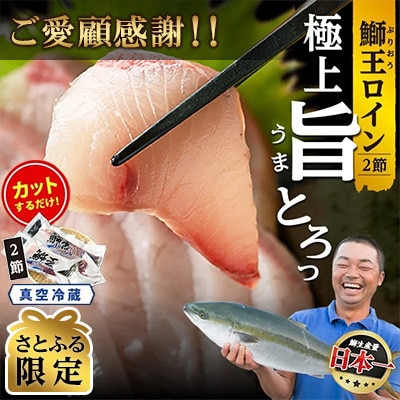 【さとふる限定】【ご愛顧感謝!】テレビで紹介 ぶりの王様「 鰤王 」ロイン jfa-1484-C