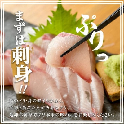 【さとふる限定】【ご愛顧感謝!期間限定】ぶりの王様「 鰤王 」ロイン jfa-1484-C