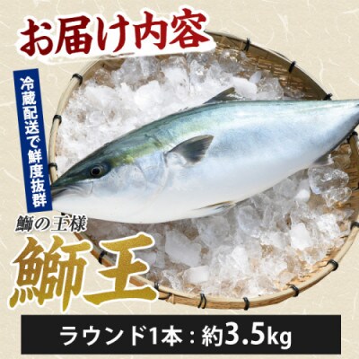 テレビで紹介ぶりの王様! 長島町特産　鰤王ラウンド約3.5kg_jfa-7115