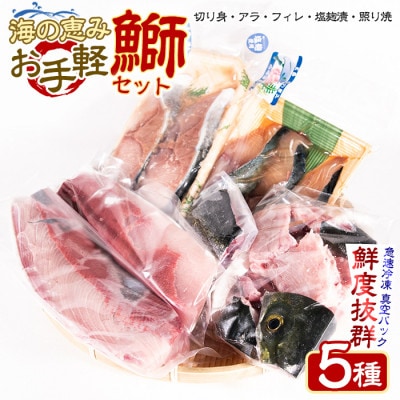 らくらく調理 鰤セット (5種) 刺身 塩焼き 冷凍 真空パック【山崎海産】yama-6022 -R