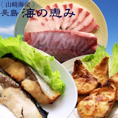 お家で簡単レンジでチン! 鰤セット (7品) アラ煮  柚子 塩サバ 冷凍 真空パック -R