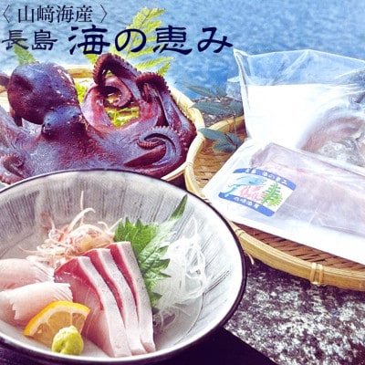 お家で簡単レンジでチン! 鰤セット (7品) アラ煮  柚子 塩サバ 冷凍 真空パック -R