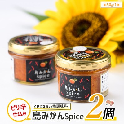 レガーレ・ワキタの島みかんスパイス(2個セット)