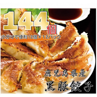 鹿児島黒豚餃子　12個入り×12P(長島町)-R