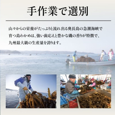 菊栄丸の手作り湯通し塩蔵わかめセット 計1.2kg 【菊栄丸水産】 kiku-2341