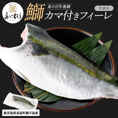 【先行予約】獅子島産 百年漁師の鰤 カマ付き フィーレ 半身分【島のごちそう】gochi-1314