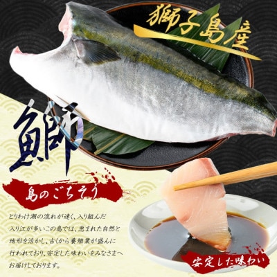 【先行予約】獅子島産 百年漁師の鰤 カマ付き フィーレ 半身分【島のごちそう】gochi-1314
