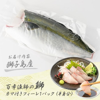 【先行予約】獅子島産 百年漁師の鰤 カマ付き フィーレ 半身分【島のごちそう】gochi-1314