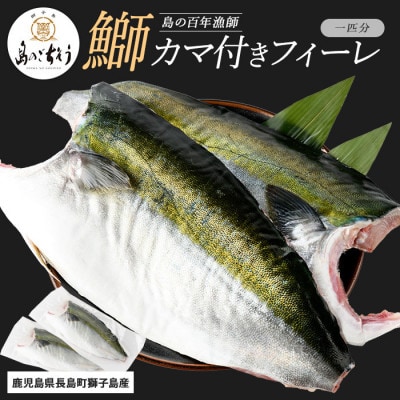 【先行予約】獅子島産 百年漁師の鰤 カマ付き フィーレ 1匹分【島のごちそう】gochi-1315