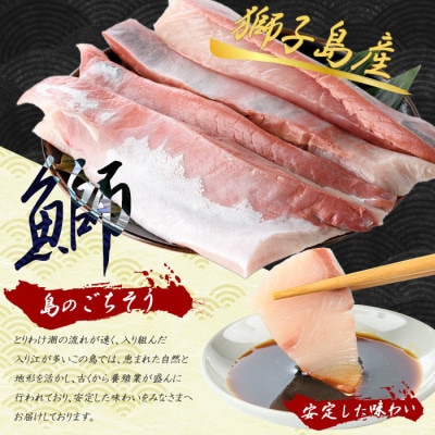 【先行予約】獅子島産 百年漁師の鰤 スキンレスロイン 1匹分【島のごちそう】gochi-1317