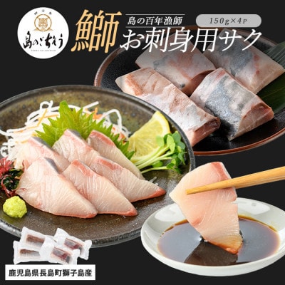 獅子島産 百年漁師の鰤 お刺身用 サク 約150g×4P【島のごちそう】gochi-1318