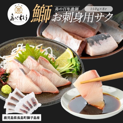 獅子島産 百年漁師の鰤 お刺身用 サク 約150g×8パック【島のごちそう】gochi-1319
