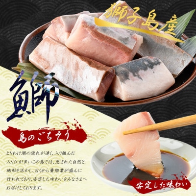 獅子島産 百年漁師の鰤 お刺身用 サク 約150g×8パック【島のごちそう】gochi-1319