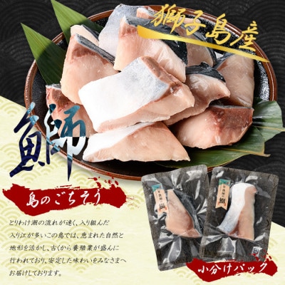 獅子島産 百年漁師の鰤 加熱用 切り身 約1.2kg15切れ程度【島のごちそう】gochi-1323