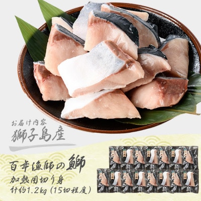 獅子島産 百年漁師の鰤 加熱用 切り身 約1.2kg15切れ程度【島のごちそう】gochi-1323