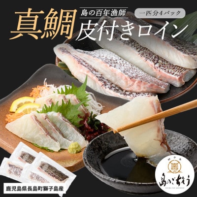 獅子島産 百年漁師の真鯛 皮付き ロイン 4パック 1匹分【島のごちそう】gochi-1328