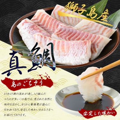 獅子島産 百年漁師の真鯛 お刺身用 サク 約100g×6P【島のごちそう】gochi-1329