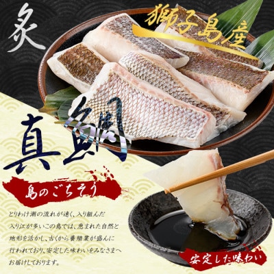 獅子島産 百年漁師の真鯛 炙り 刺身 サク 約100g×6P【島のごちそう】gochi-1330