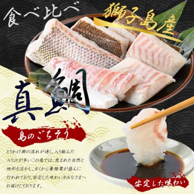 獅子島産 百年漁師の真鯛 お刺身 炙り刺身 食べ比べ 計6P【島のごちそう】gochi-1331