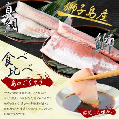 【先行予約】獅子島産 百年漁師の鰤と真鯛 食べ比べ スキンレスロイン 半身分 gochi-1334