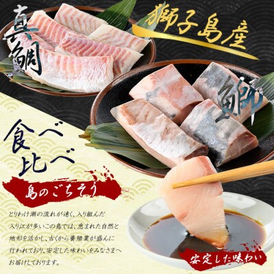 獅子島産 百年漁師の鰤と真鯛 お刺身用 サク 食べ比べ【島のごちそう】gochi-1335