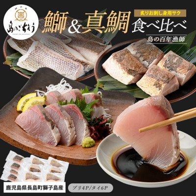 あぶり真鯛と鰤 炙り 刺身 サク 食べ比べ【島のごちそう】gochi-1336