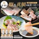 獅子島産 百年漁師の海産物 詰め合わせ【島のごちそう】gochi-1337