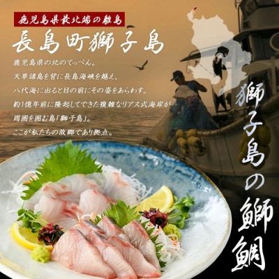 獅子島産 百年漁師の海産物 詰め合わせ【島のごちそう】gochi-1337