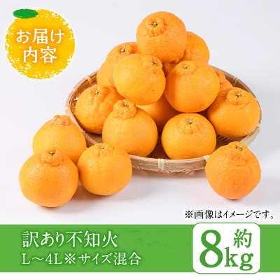 訳あり品不知火　L～4L サイズ混合　8kg