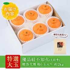 特選大玉 優品紅不知火(大将季) 贈答化粧箱6玉入り 約2kg