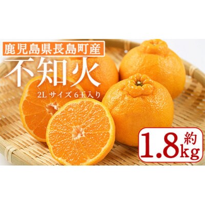 不知火 2Lサイズ　6玉入り約1.8kg