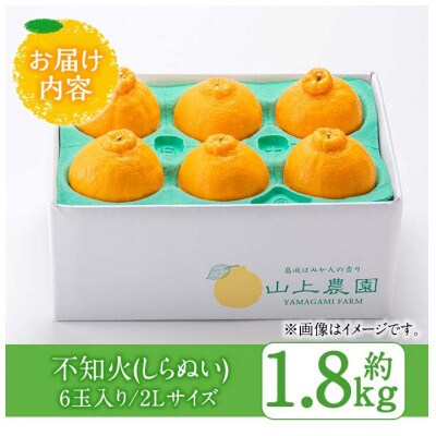 不知火 2Lサイズ　6玉入り約1.8kg