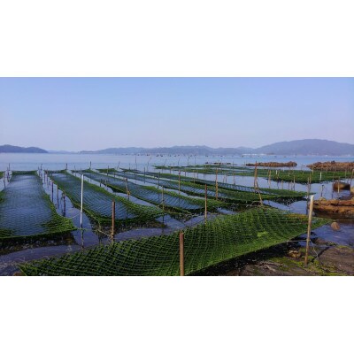 礒永水産の乾燥あおさ 200g-R